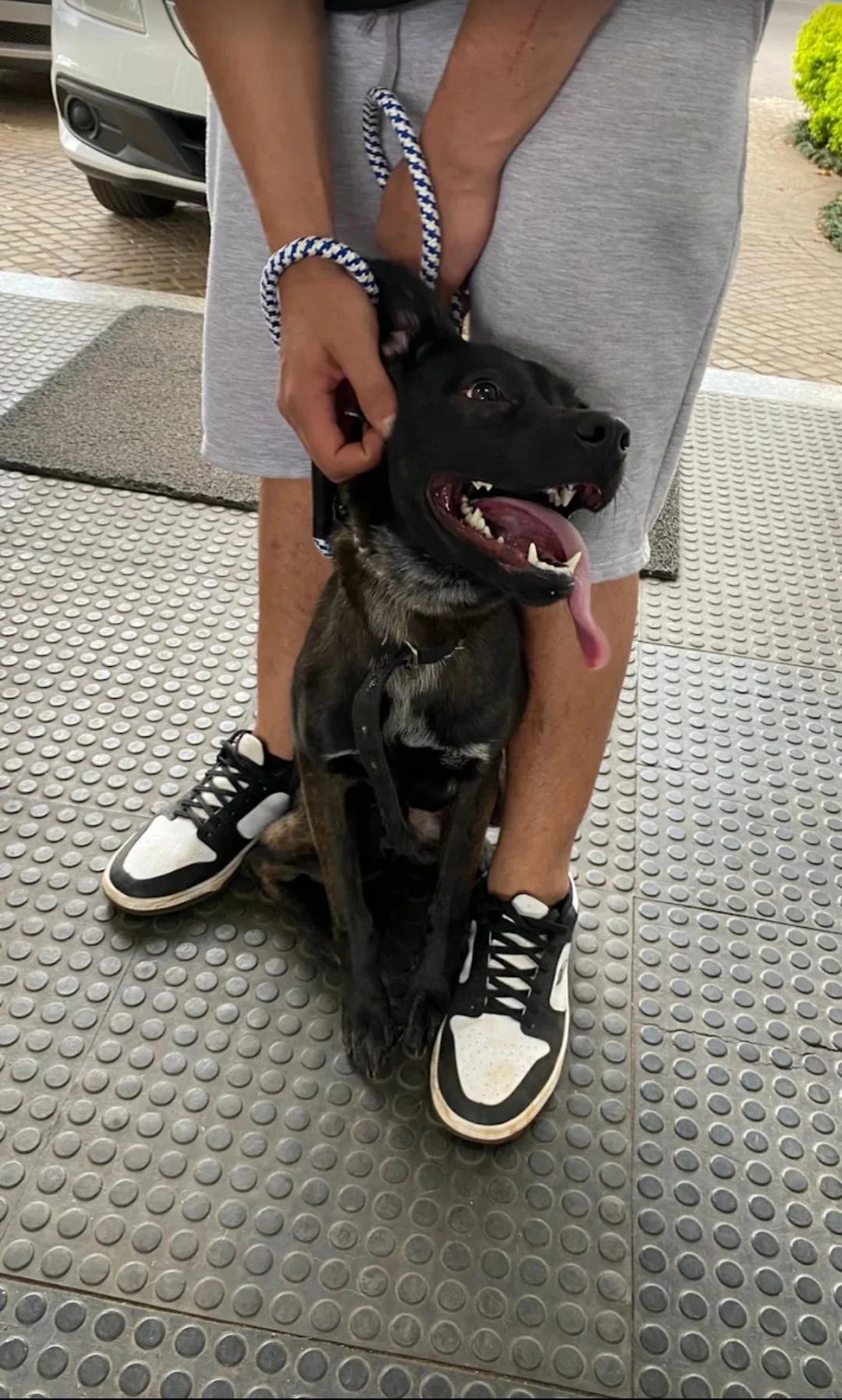 Foto enviada por Leonardo Santos na avaliação