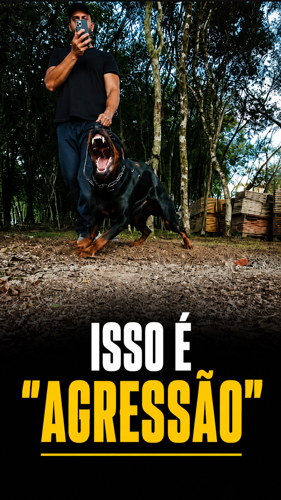 Trabalho de controle e proteção com cão