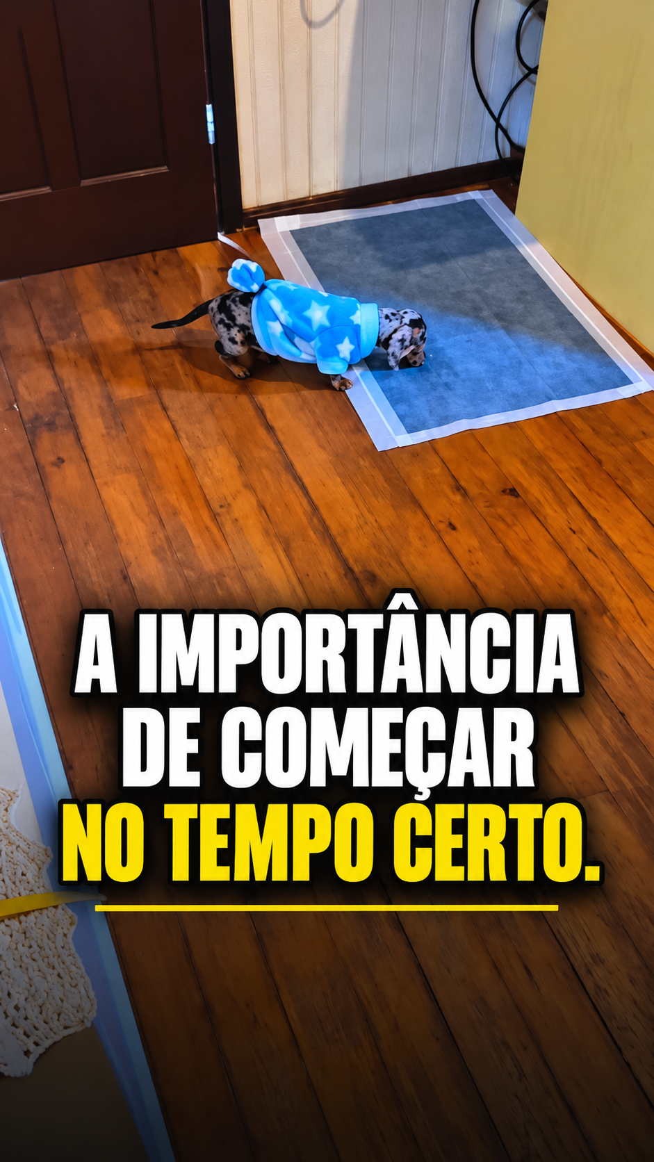 Capa de reel de Educação Sanitária