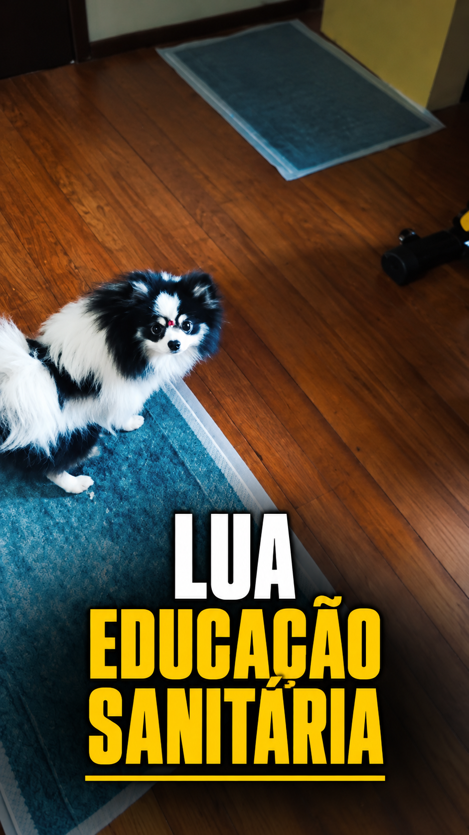 Capa de publicação de Educação Sanitária
