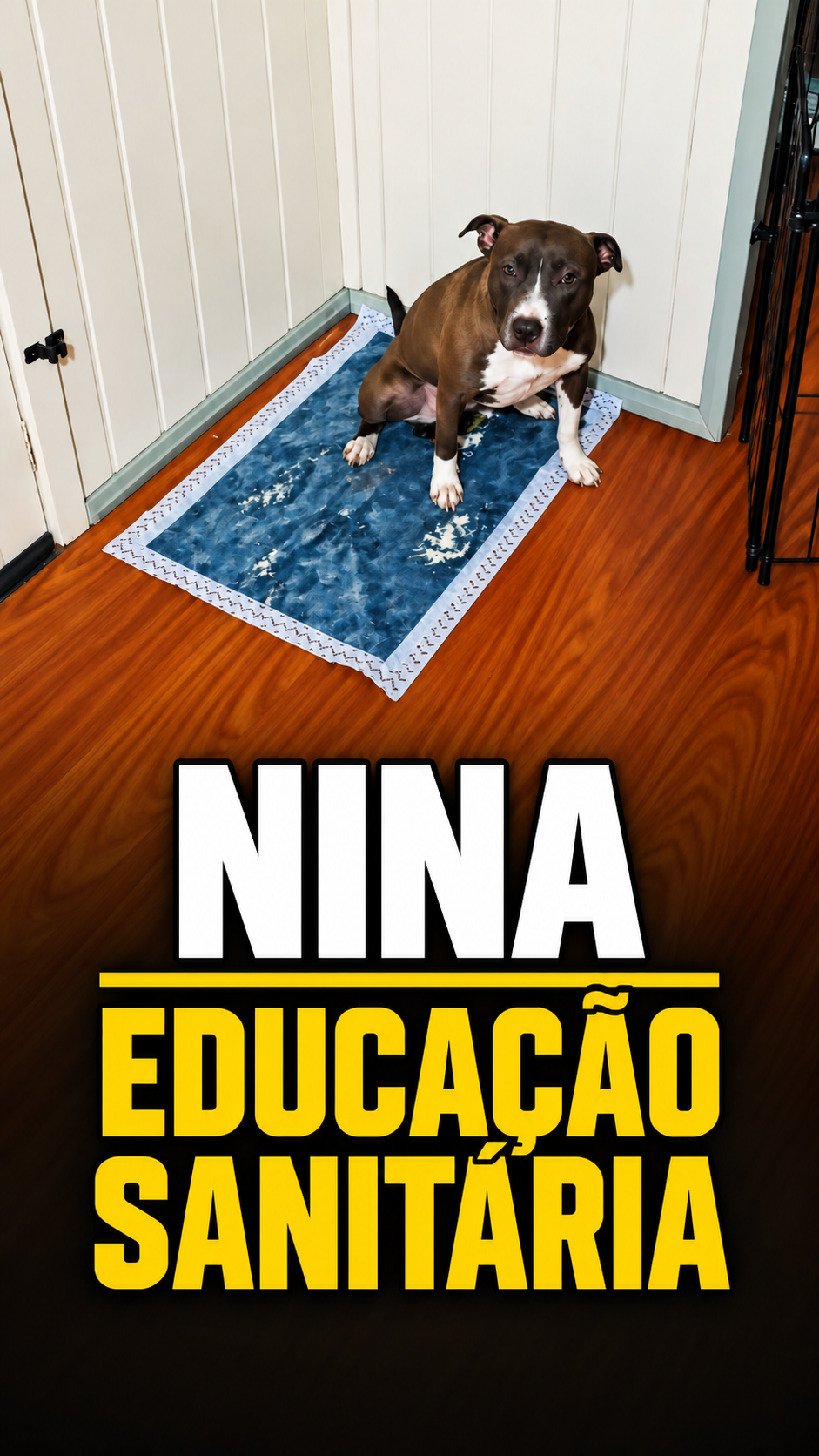 Capa de publicação de Educação Sanitária
