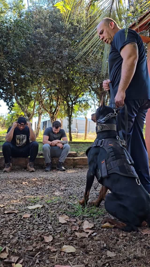 Capa de reel de Guarda e Proteção