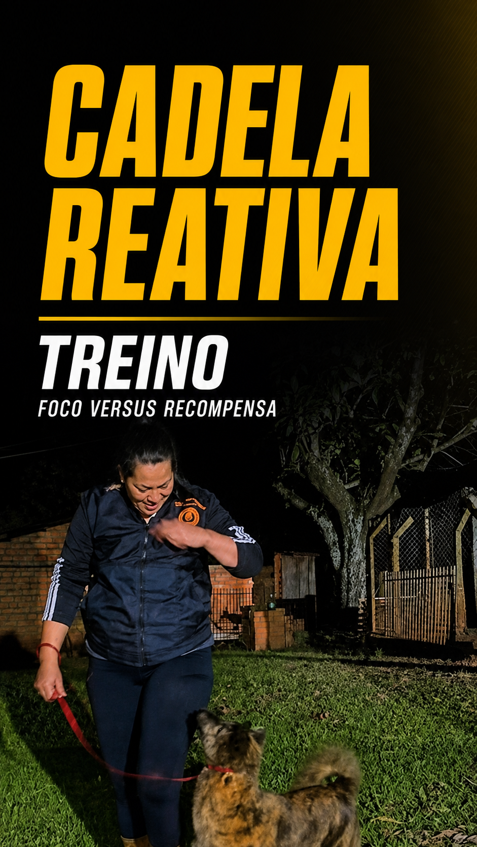 Capa de reel de Modificação Comportamental