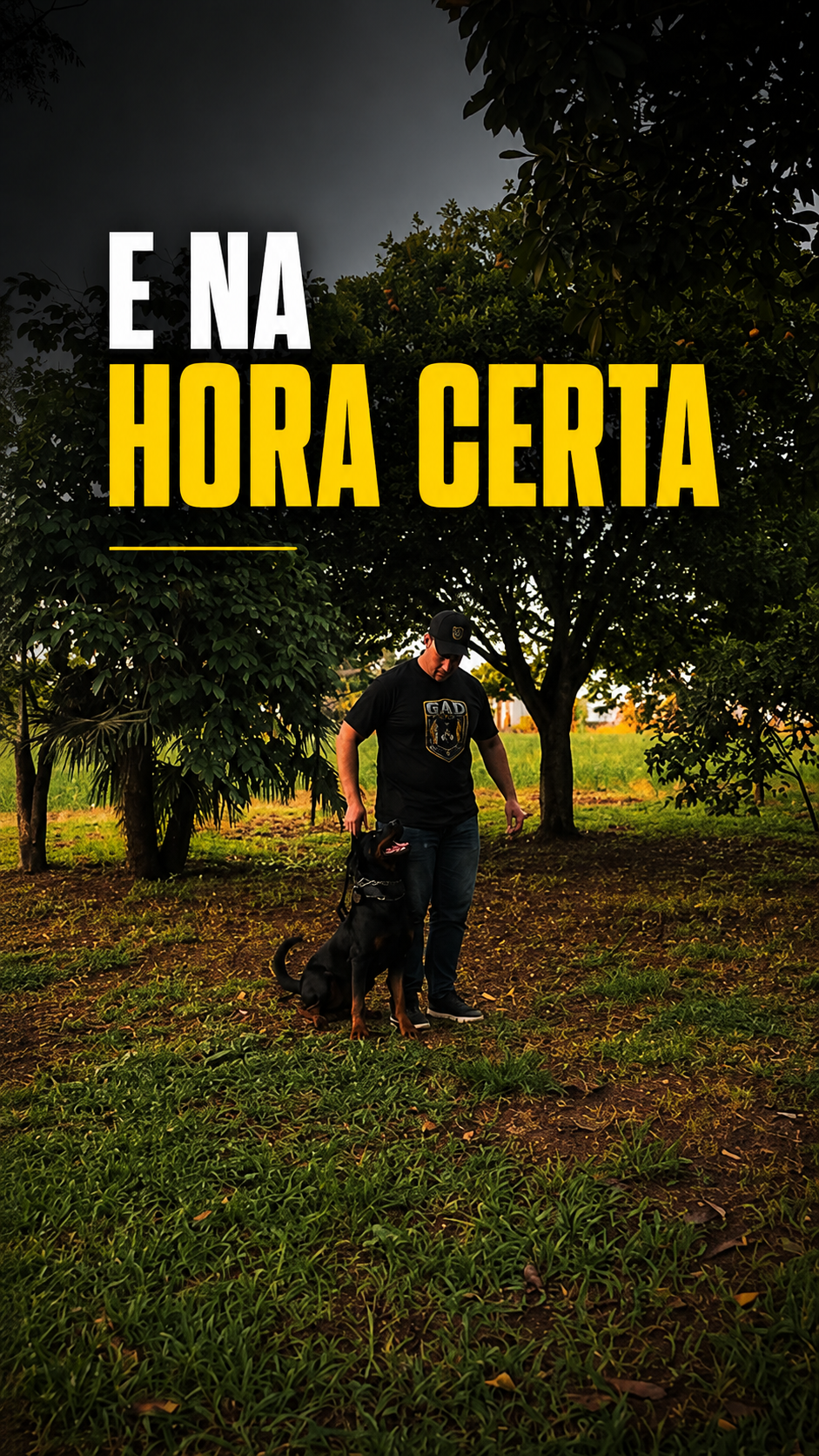 Capa de reel de Obediência Básica e Avançada