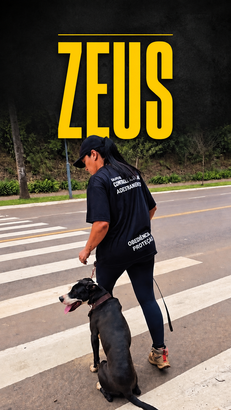 Capa de reel de Passeio Estruturado
