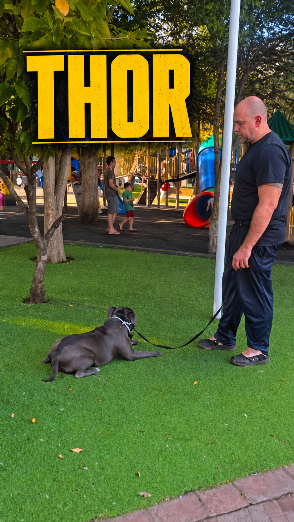 Capa de reel de Passeio Estruturado