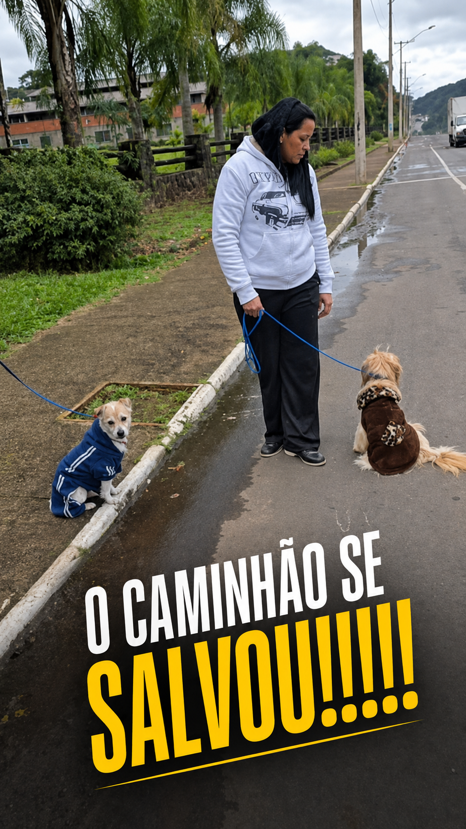 Capa de reel de Passeio Estruturado