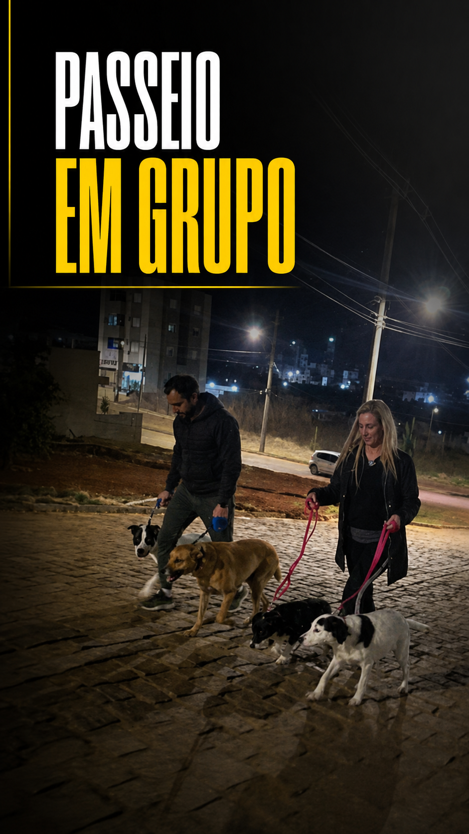 Capa de reel de Passeio Estruturado
