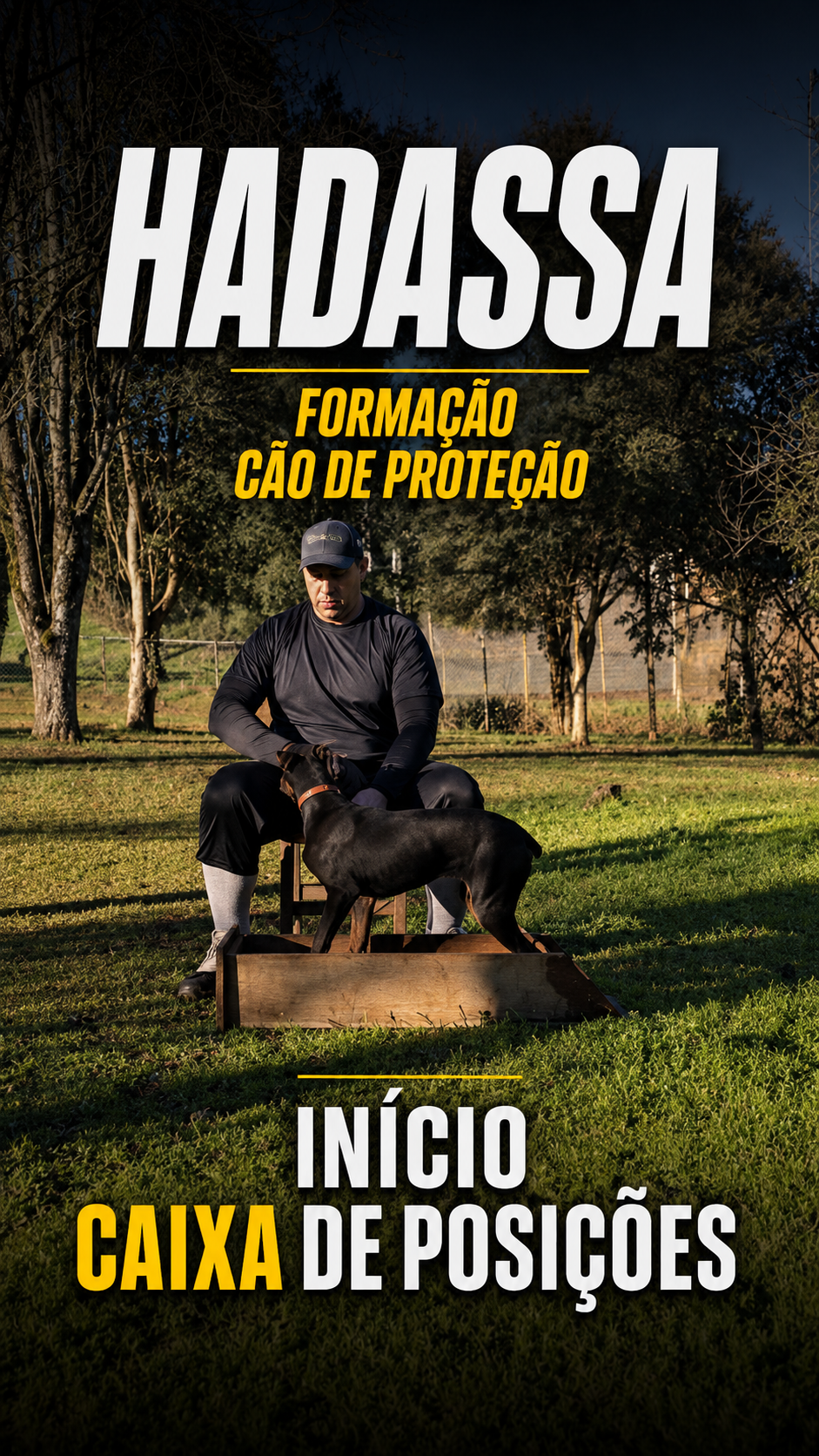 Capa de reel de Treinamento Intensivo