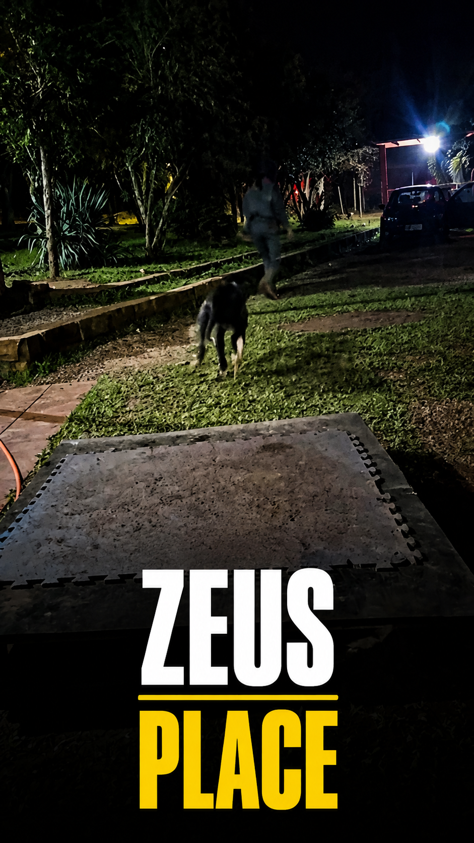 Capa de reel de Treinamento Intensivo
