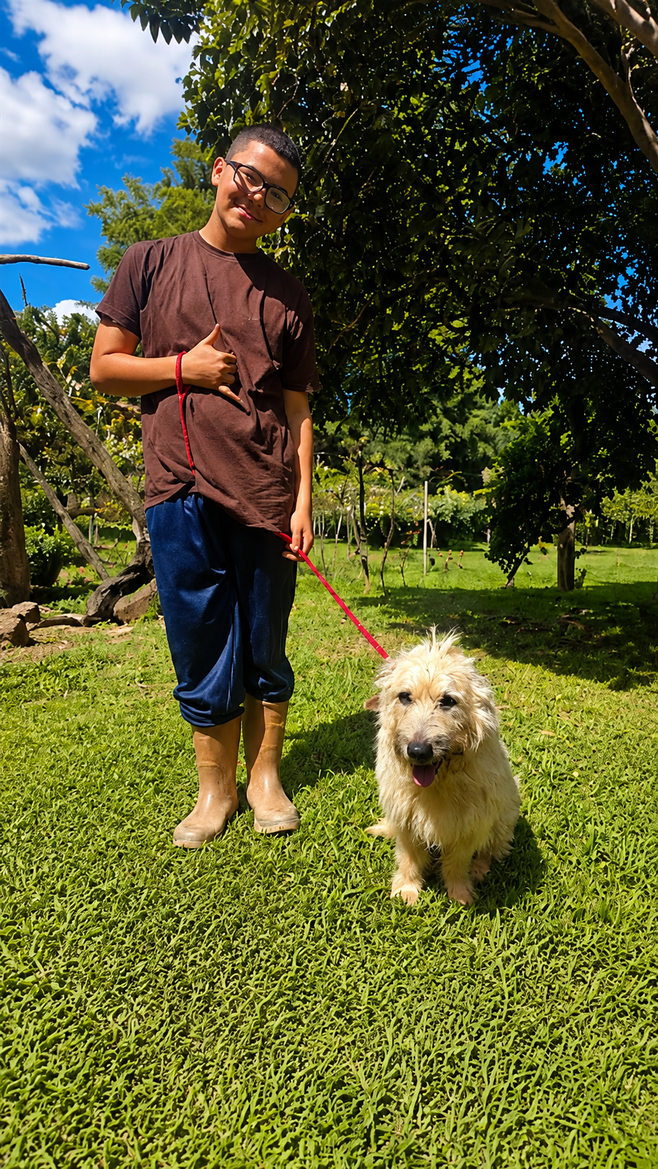 Treinador com cão claro em sessão de trabalho